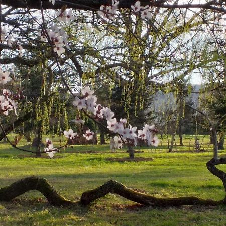 Domaine Berenguer Bed and Breakfast Ouches Exteriör bild